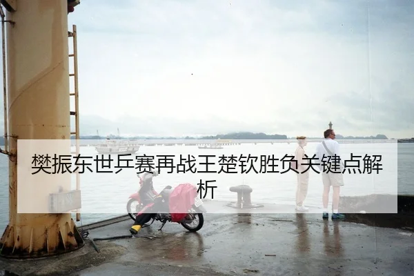 樊振东世乒赛再战王楚钦胜负关键点解析