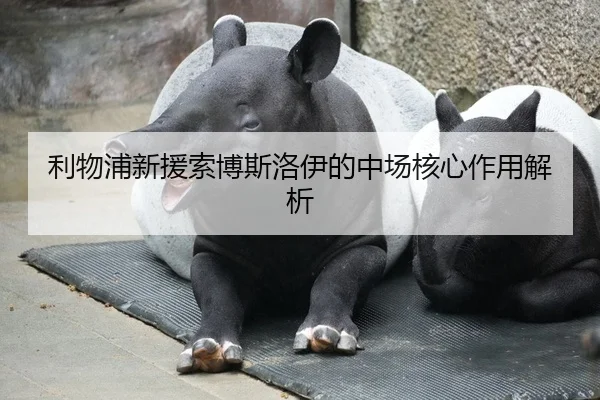 利物浦新援索博斯洛伊的中场核心作用解析